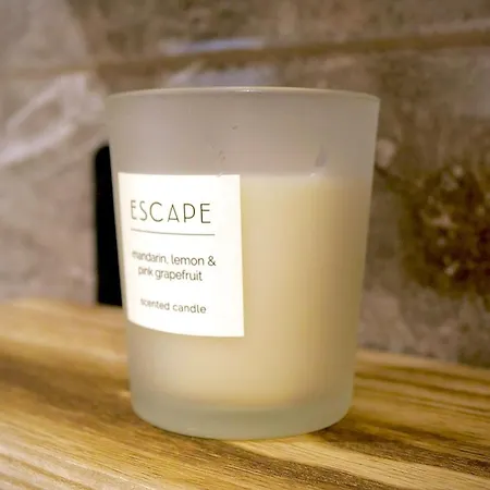 Wood & Teal Nest * 布雷得佛