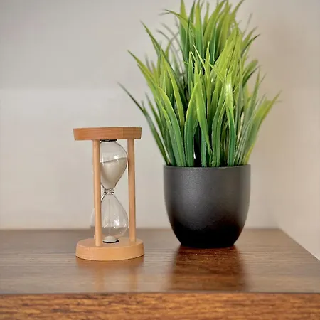 Wood & Teal Nest Appartement *