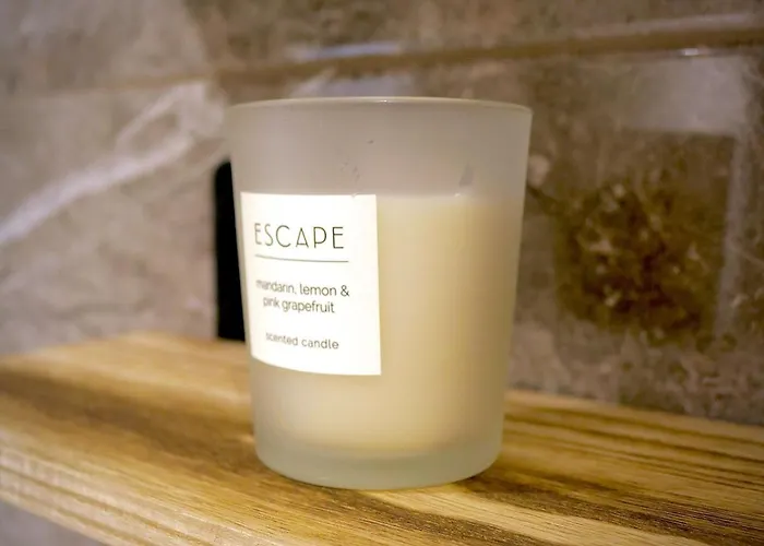 Wood & Teal Nest * 布雷得佛